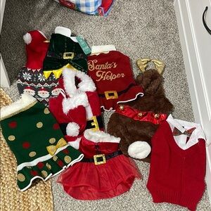 Festive Pet Holiday Outfits